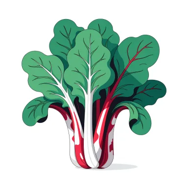 Illustration of swiss chard, cooked