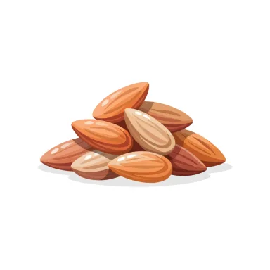 Illustration of almonds