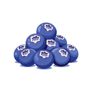 Illustration of blueberries