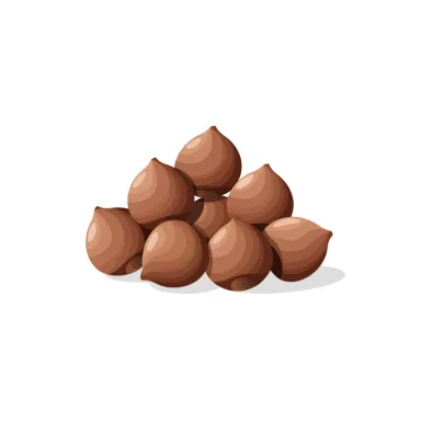 Illustration of hazelnuts
