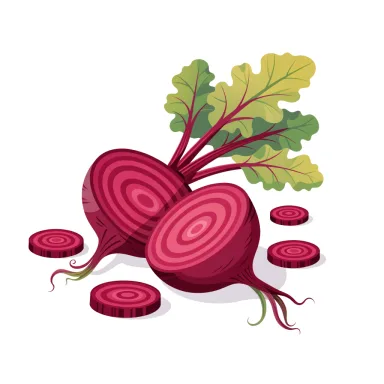 Illustration of beets, cooked