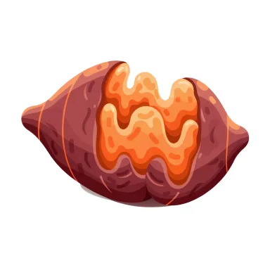 Illustration of sweet potato, baked