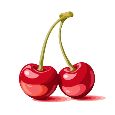 Illustration of cherries, sweet
