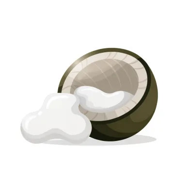 Illustration of coconut, fresh