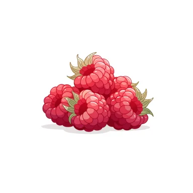 Illustration of raspberries