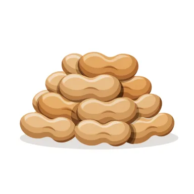 Illustration of peanuts, roasted