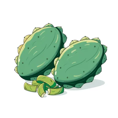 Illustration of nopales, cooked