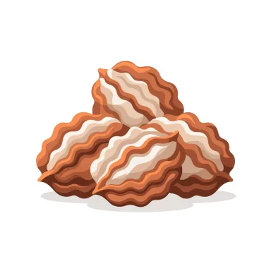 Illustration of walnuts
