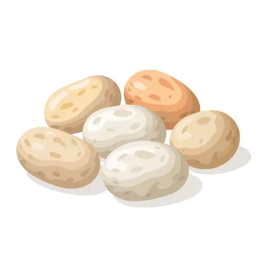 Illustration of potato, boiled
