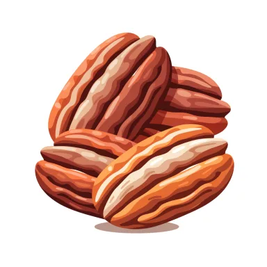Illustration of pecans
