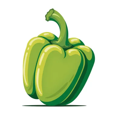 Illustration of bell pepper, green, raw