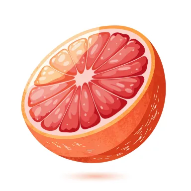 Illustration of grapefruit