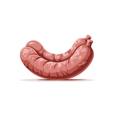 Illustration of hot dog (beef frankfurter)