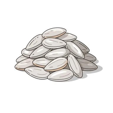 Illustration of sunflower seeds, roasted