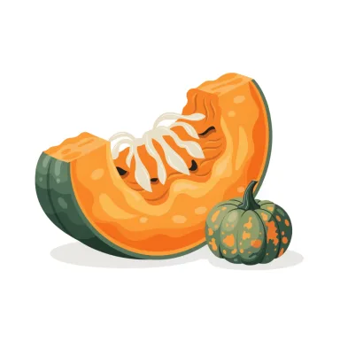 Illustration of pumpkin, cooked